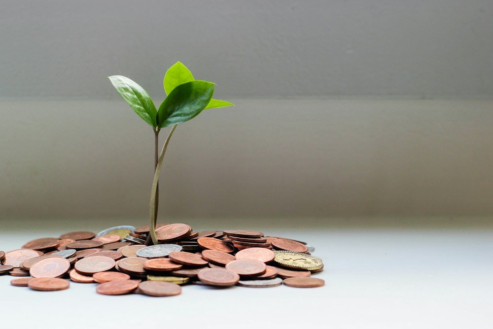 Banking & Fintech